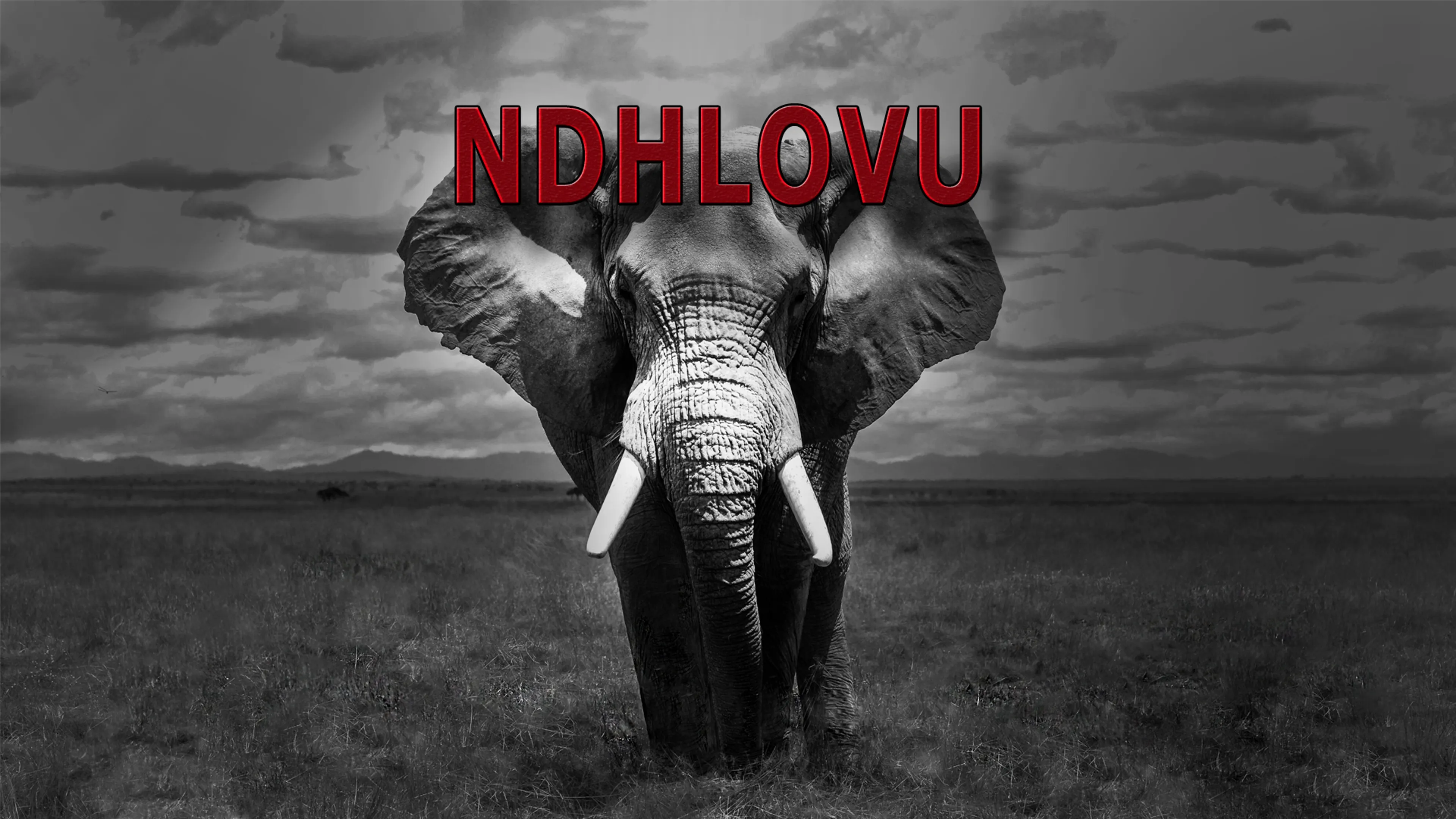 Ndhlovu poster